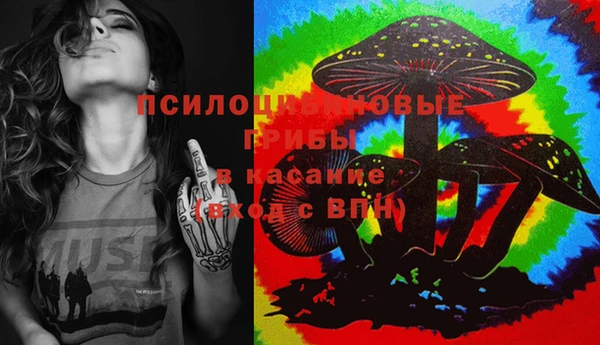 дурь Арсеньев