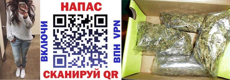 МАРИХУАНА план Саратов